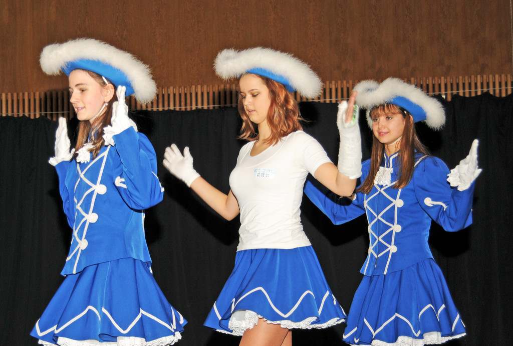 Seniorenball H__chst 22_01_2012 93_jpg-1327259351