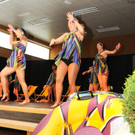 Seniorenball H__chst 22_01_2012 117_jpg-1327259418