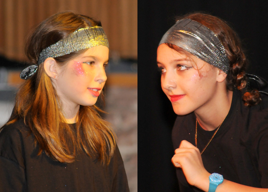 Seniorenball H__chst 22_01_2012 150_jpg-1327259592
