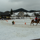 Pferdesport 088.jpg