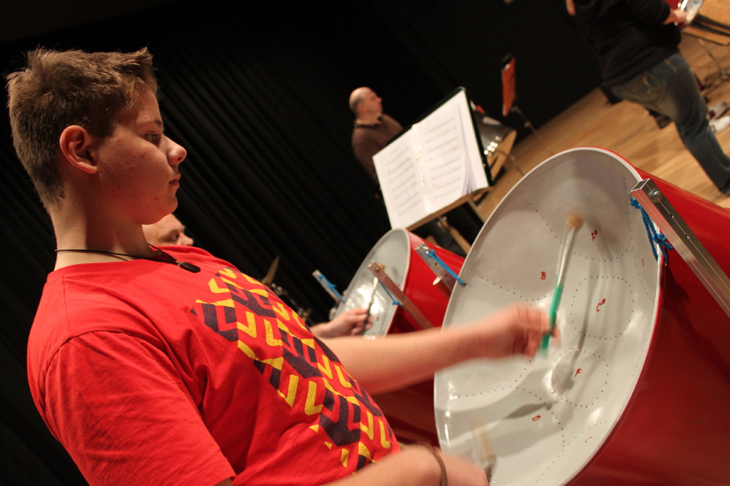 bandprobe _40_.jpg