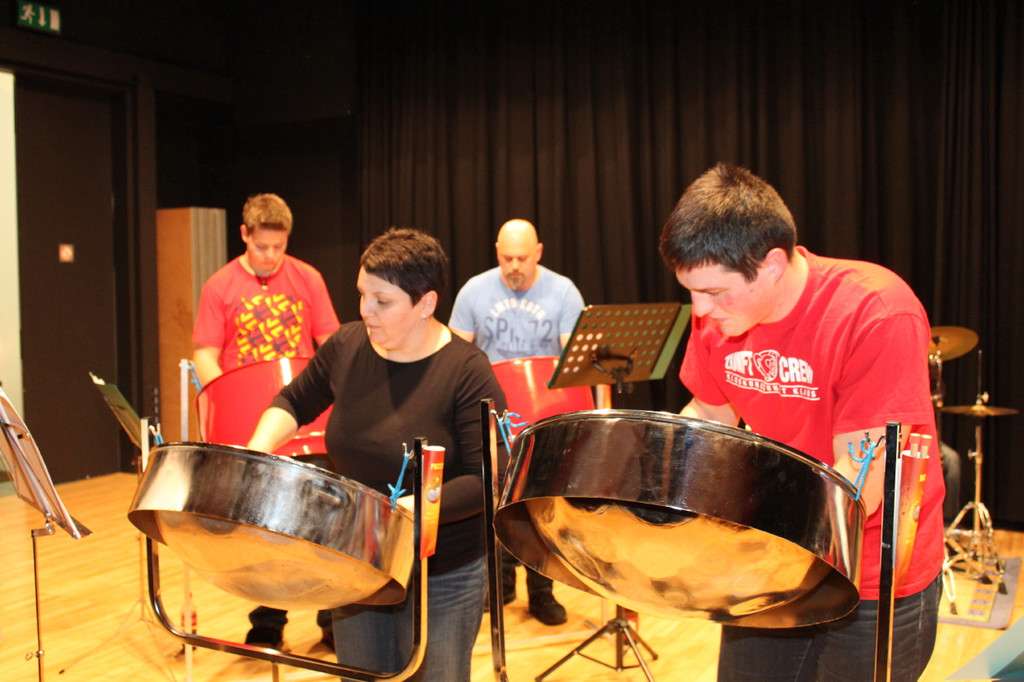 bandprobe _60_.jpg