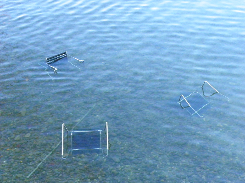 113_6308_JPG-1327274670