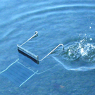 113_6314_JPG-1327274701