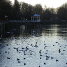 113_6223_JPG-1327274619