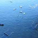 113_6317_JPG-1327274724