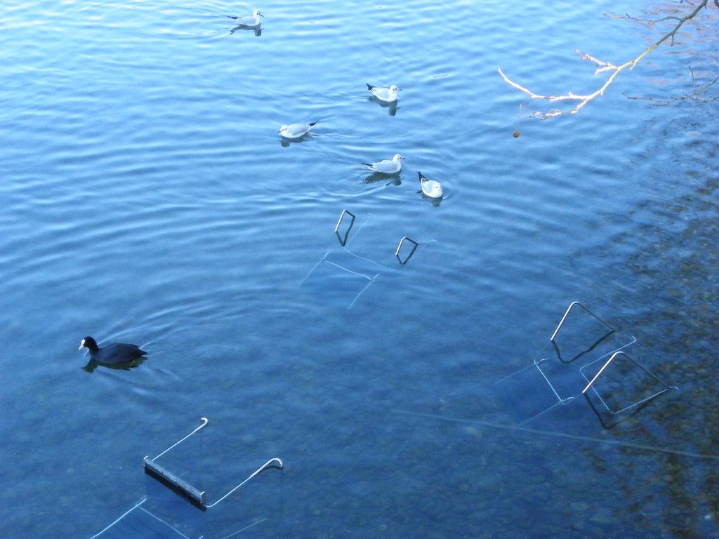 113_6317_JPG-1327274724