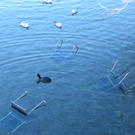 113_6316_JPG-1327274712