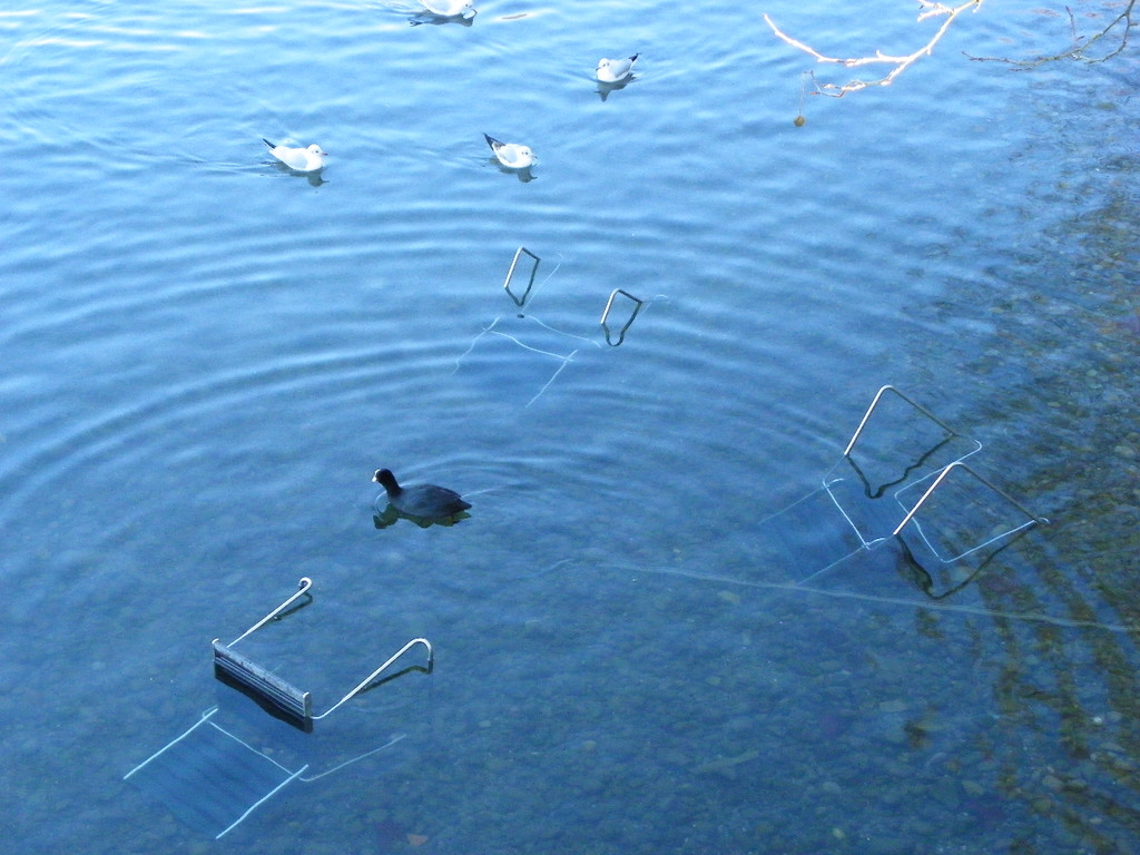 113_6316_JPG-1327274712