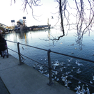 113_6247_JPG-1327274657