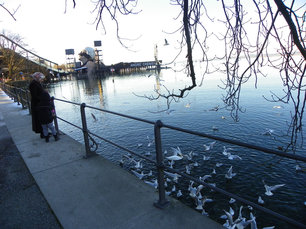 113_6247_JPG-1327274657