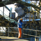 113_6310_JPG-1327274682