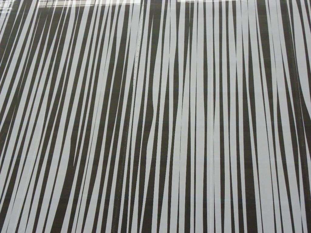 113_6641_JPG-1327275444