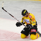 th-00258464.jpg