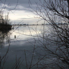IMG_5035_jpg-1327308367