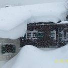 winter 10.jpg