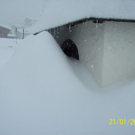 winter 11.jpg