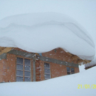 winter 14.jpg
