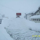 winter 15.jpg