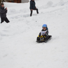 DSC_2004.jpg