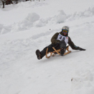 DSC_2175.jpg