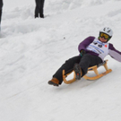DSC_2228.jpg
