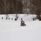 DSC_2437.jpg