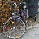normal_23012012fmt_vuradfahrer_ta_006.JPG
