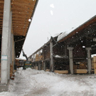 normal_23012012fmt_halllekirchner_fm_02.jpg