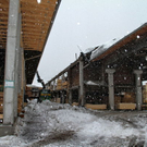 normal_23012012fmt_halllekirchner_fm_03.jpg