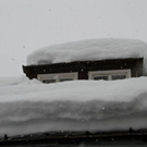 normal_23012012fmt_halllekirchner_fm_19.jpg