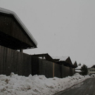 normal_23012012fmt_halllekirchner_fm_28.jpg