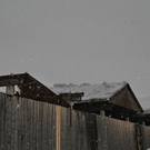 normal_23012012fmt_halllekirchner_fm_29.jpg