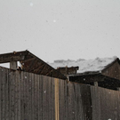 normal_23012012fmt_halllekirchner_fm_30.jpg