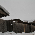 normal_23012012fmt_halllekirchner_fm_31.jpg