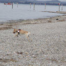 IMG_5731.JPG