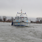 IMG_5753.JPG