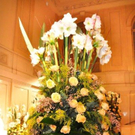 Ball der Pharmacie 2012023.jpg