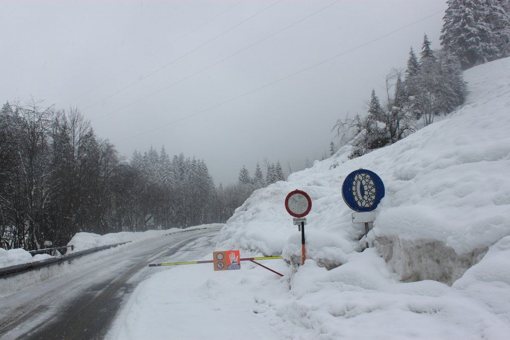 230112schneear0400412.JPG