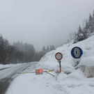 230112schneear0400412.JPG