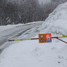230112schneear0400413.JPG