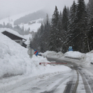 230112schneear0400408.JPG