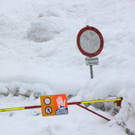 230112schneear0400406.JPG