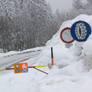230112schneear0400407.JPG