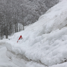 230112schneear0400405.JPG
