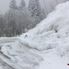 230112schneear0400404.JPG