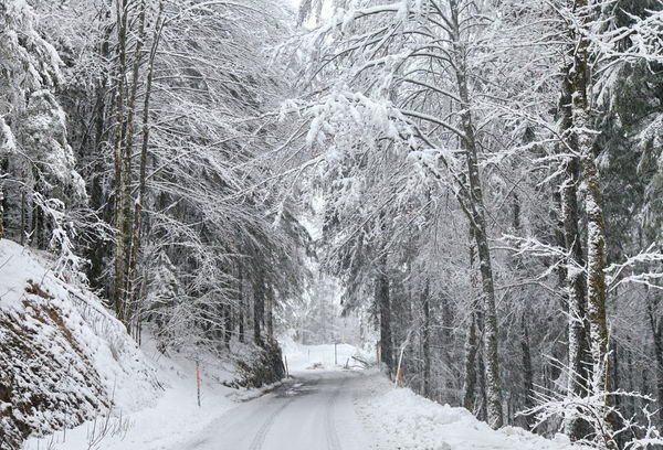 normal_24012012fmt_sperrefelbertalstr_mw_03.JPG