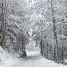 normal_24012012fmt_sperrefelbertalstr_mw_03.JPG