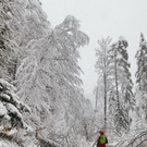 normal_24012012fmt_sperrefelbertalstr_mw_14.JPG