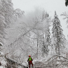 normal_24012012fmt_sperrefelbertalstr_mw_16.JPG